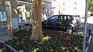 Im ganzen Bezirk Wangen blühen nun wieder bunte Blumen. Foto: Leibfritz