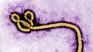 Tote bei erneutem Ebola-Ausbruch