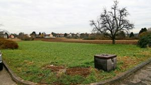 Noch bleiben die Wiesen und Äcker östlich der Herbertstraße unbebaut. Für  Ende März ist ein Gerichtsverfahren angesetzt. Foto: Lederer