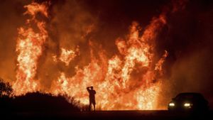 In Kalifornien wüten mehrere große Feuer. Foto: AP