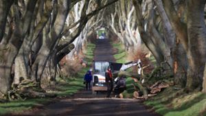 Arbeiter beseitigen Baumstämme: Ein Sturm hat der „Game of Thrones“-Allee zugesetzt. Foto: dpa/Liam Mcburney
