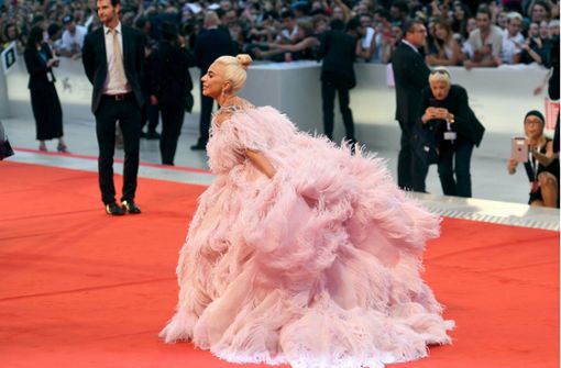 Lady Gaga posiert in einem rosa Federkleid für die Fotografen. Foto: dpa