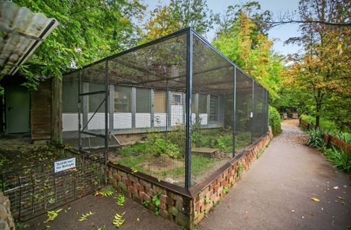 Das Aufzuchthaus im Esslinger Tierpark Nymphaea ist in die Jahre gekommen. Es soll abgerissen und durch einen Neubau ersetzt werden. Foto: Roberto Bulgrin