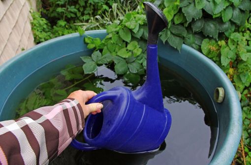Wer Regenwasser sammelt, kann sich freilich daran bedienen. An Bächen gilt ein Entnahmeverbot. Foto: imago images/Panthermedia/Astrid08