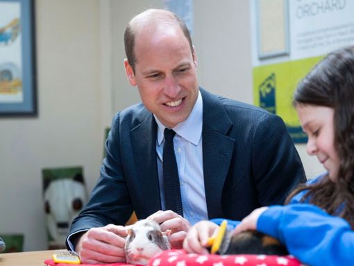 Prinz William hat am Donnerstag ein Meerschweinchen getroffen. Foto: ddp