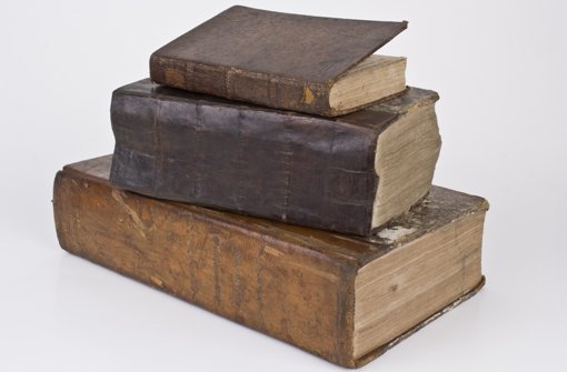 „Von allen Welten, die der Mensch erschaffen hat, ist die der Bücher die Gewaltigste“ (Heinrich  Heine) Foto: Fotolia
