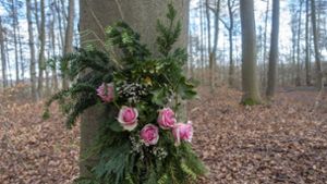 Ein Ehepaar wird auf einem Waldfriedhof in Aalen von einem herunterstürzenden Ast getroffen. (Symbolbild) Foto: IMAGO//Norbert Neetz