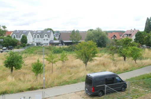 Im oberen Teil der Grünfläche, hinter der Baumreihe im Vordergrund, wird die Flüchtlingsunterkunft entstehen. Foto: Torsten Schöll