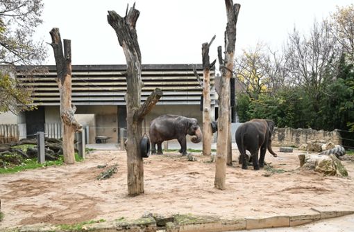 Eigentlich war geplant, die „Elefantenwelt“ in der Wilhelma bis zum Jahr 2025 fertigzustellen. Foto: dpa/Bernd Weißbrod