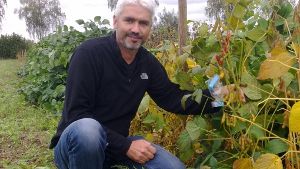 Wer an dem Experiment teilnimmt, kann sich im Herbst vielleicht wie der Experte Volker Hahn mit den eigenen Soja-Pflanzen in Szene setzen. Foto: Landessaatzuchtanstalt, Universität Hohenheim