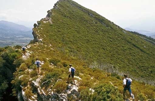 Korsika zu Fuß: Grandiose Landschaftseindrücke auf einsamen Pfaden. Foto: dpa