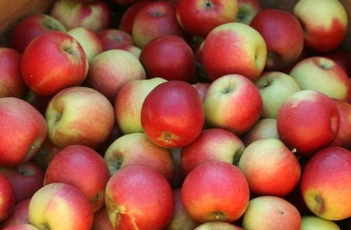 Infos zum Anbau und zur Pflege von Apfelbäumen gibt es am Sonntag bei Familie Bauer. Foto: dpa