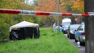 In diesem Gebüsch wurde die vermisste Mutter zweier Kinder tot gefunden Foto: 7aktuell.de/Specht