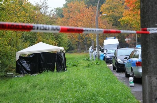 In diesem Gebüsch wurde die vermisste Mutter zweier Kinder tot gefunden Foto: 7aktuell.de/Specht