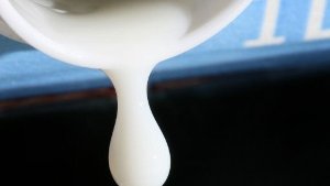 Milch ist für Menschen tabu, die keine Laktose vertragen: Sie reagieren auf den darin enthaltenen Milchzucker. Etwa jeder siebte Europäer leidet an einer Laktose-Unverträglichkeit. Foto: dpa