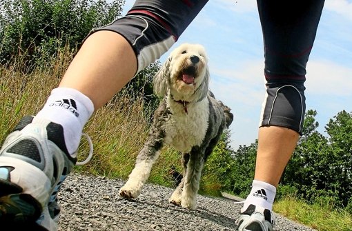 Kritische Begegnung zwischen Hund und Jogger – verantwortlich ist der nicht sichtbare Hundehalter Foto: Avanti
