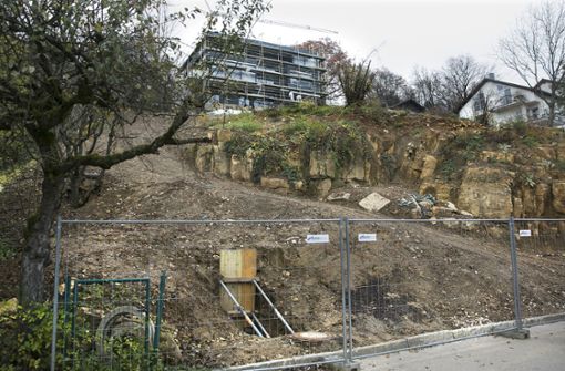 Viel hat sich an dem abgerutschten ehemaligen Steinbruch in Nürtingen-Zizishausen bisher  nicht getan. Foto: Horst Rudel/Archiv