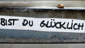 Ein Marienkäfer krabbelt über ein Treppengelände, auf dem die Frage „Bist du glücklich?“ geschrieben steht. Man kann selbst sehr viel dafür tun, glücklich zu sein. Foto: dpa