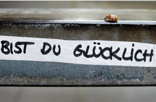 Ein Marienkäfer krabbelt über ein Treppengelände, auf dem die Frage „Bist du glücklich?“ geschrieben steht. Man kann selbst sehr viel dafür tun, glücklich zu sein. Foto: dpa