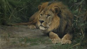 „Verdächtiges Geräusch“ hat Wilhelm Kuhnert dieses Gemälde betitelt: Bis heute beeinflusst sein Werk unsere Vorstellungen von afrikanischer Wildheit und Wildnis. Foto: Jens Weyers