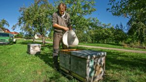 Was machen Bienen und Imker eigentlich im Herbst?