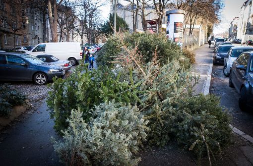 Weihnachtsbäume können in Stuttgart an zentralen Sammelstellen kostenlos abgelegt werden. Foto: Lichtgut/Achim Zweygarth