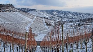 Idyllisch, wie der Schnee auf den Stuttgarter Weinbergen liegt. Foto: Leserfotograf siri1711