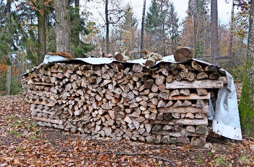 Mit dem Verkauf  von Holz will die Stadt im  kommenden Jahr 125 000 Euro erlösen. Foto: Malte Klein
