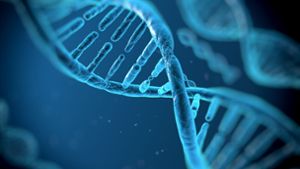Erstmals haben US-Forscher menschliche Embryonen genetisch verändert. Foto: Vitstudio/Fotolia