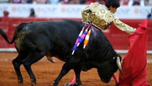 Künftig dürfen keine Stierkämpfe mehr in der Plaza México stattfinden (Symbolfoto). Foto: imago images/Agencia EFE/Mario Guzman via www.imago-images.de