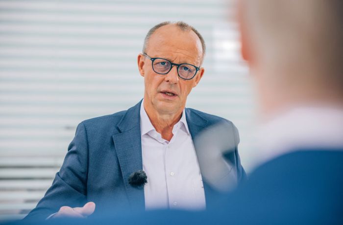 Der CDU-Chef macht einen Steuervorschlag: Friedrich Merz hat Recht – es nützt nur nichts