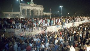 Grenzenloser Jubel: Berlin am Tag nach dem Mauerfall Foto: dpa
