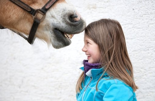 Mädchen lieben Pferde – und umgekehrt wohl auch. Foto: Zlatan Durakovic/Fotolia