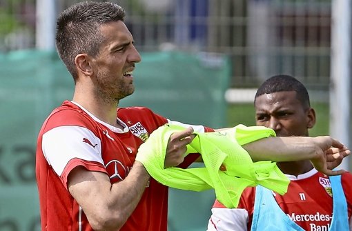 Nur noch im Training gefragt: VfB-Stürmer Vedad Ibisevic Foto: Baumann