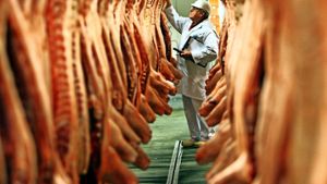 Aus Deutschland wird mehr Fleisch exportiert als je zuvor. Foto: dpa