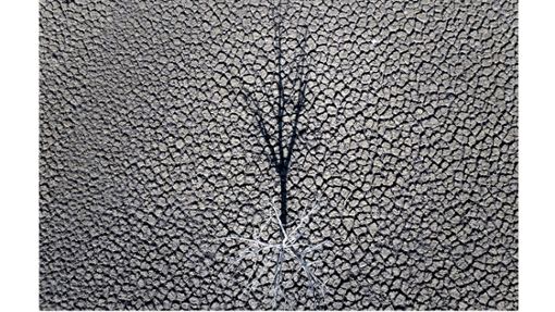 Der Schatten eines toten Baumes wird auf den rissigen Boden des Sau-Stausees im spanischen Vilanova de Sau, der nur noch fünf  Prozent seines Fassungsvermögens hat, geworfen. Foto: AP/dpa/Emilio Morenatti