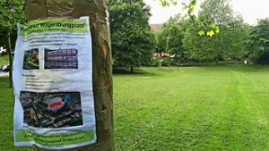 Die Wiese soll mit Hilfe von Containern zum Unterrichtsort werden, im Hintergrund ist zwischen den Bäumen das Wagenburg-Gymnasium zu erkennen. Foto:  