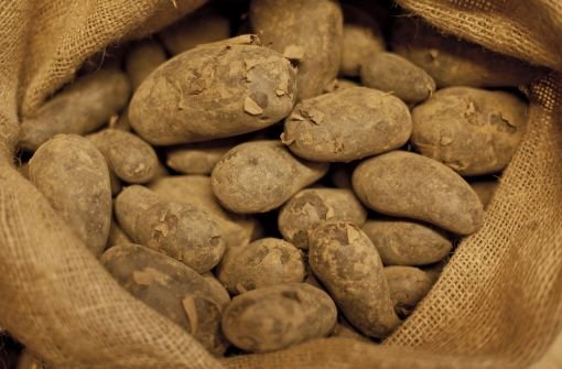 Wie wachsen Kartoffeln? Wie gesund sind sie? Wie werden sie am besten gelagert? In unserer Bildergalerie finden Sie Antworten auf die wichtigsten Fragen. Foto: Leif Piechowski