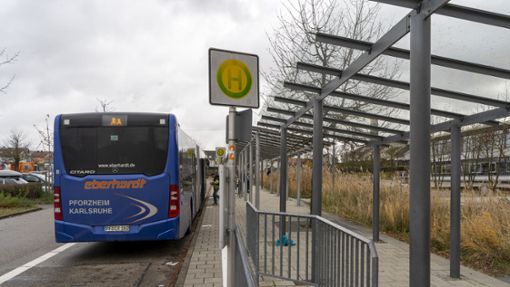 Mit dem Bus der Linie 653A fahren auch viele Kinder und Jugendliche zum Gymnasium Rutesheim. Foto: Jürgen Bach