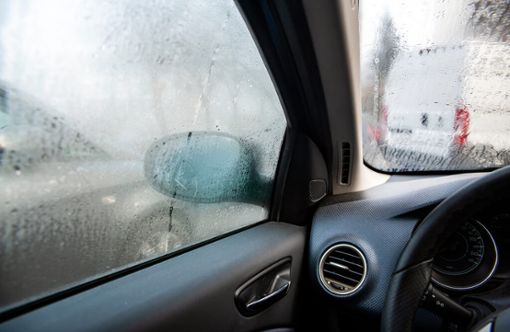 Feuchtigkeit im Auto entfernen: Katzenstreu als Hausmittel