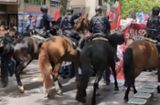 1.-Mai-Demo in Stuttgart: Verletzte Polizeipferde sorgen für emotionale Diskussion...