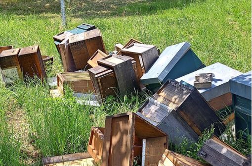 Ein Bild der Verwüstung hat sich dem Erdmannhäuser Thomas Deckert geboten, als er am Sonntag zu seinem Bienenstand kam. Foto: privat