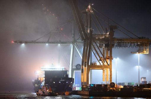 Der chinesische Cosco-Konzern will sich an einem Containerterminal im Hamburger Hafen beteiligen. Foto: dpa/Jonas Walzberg