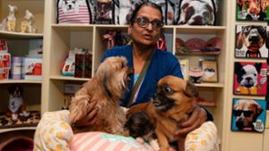 Alles, was das Hundeherz begehrt: Im neuen Luxushotel in der indischen Stadt Gurgaon dürfen sich die flauschigen Vierbeiner auf ein Rundum-Wellnesspaket freuen. Foto: AFP