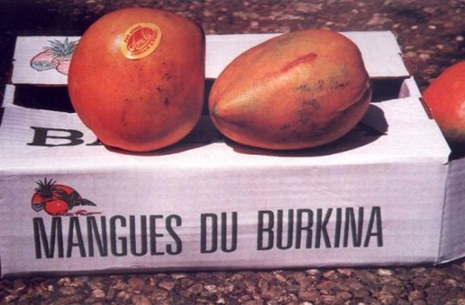 Ab 6. Mai verkauft der evangelische Kirchenbezirk wieder Mangos aus Burkina Faso Foto: Archiv