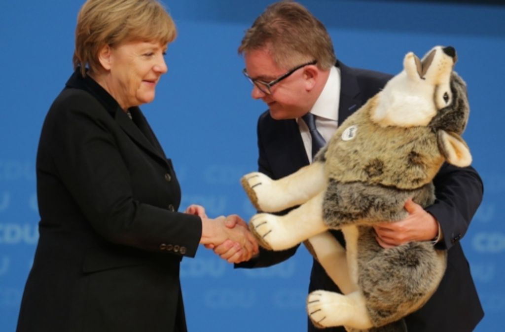 Wolfs Geschenk an die Kanzlerin wurde satirisch aufgearbeitet – es handelt sich dabei übrigens um das Steiff-Modell „Snorry Wolf“ für 299 Euro Foto: dpa