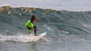 Vater fotografiert Hai unter zehnjährigem Sohn