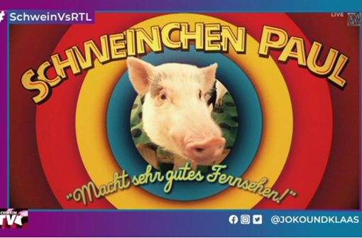 Ein Schwein soll für saugute Einschaltquoten sorgen: Joko und Klaas ließen die Sau in einer  Kunstgalerie raus. Foto: Twitter/@jokoundklaas