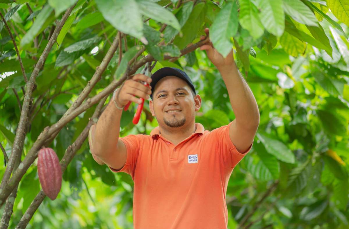 In diesem Jahr erwartet man in Waldenbuch auf El Cacao eine Ernte von etwa 600 Tonnen Edelkakao. Foto: Alfred Ritter GmbH & Co. KG