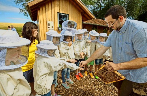 Der Imker André Riehle zeigt Grundschülern vor dem Bienenhaus, dass sie keine Angst vor den Insekten  haben müssen. Foto: Michael Steinert